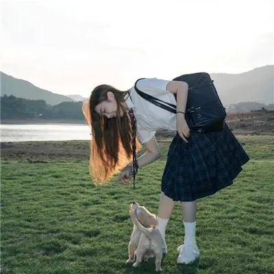 知识之树