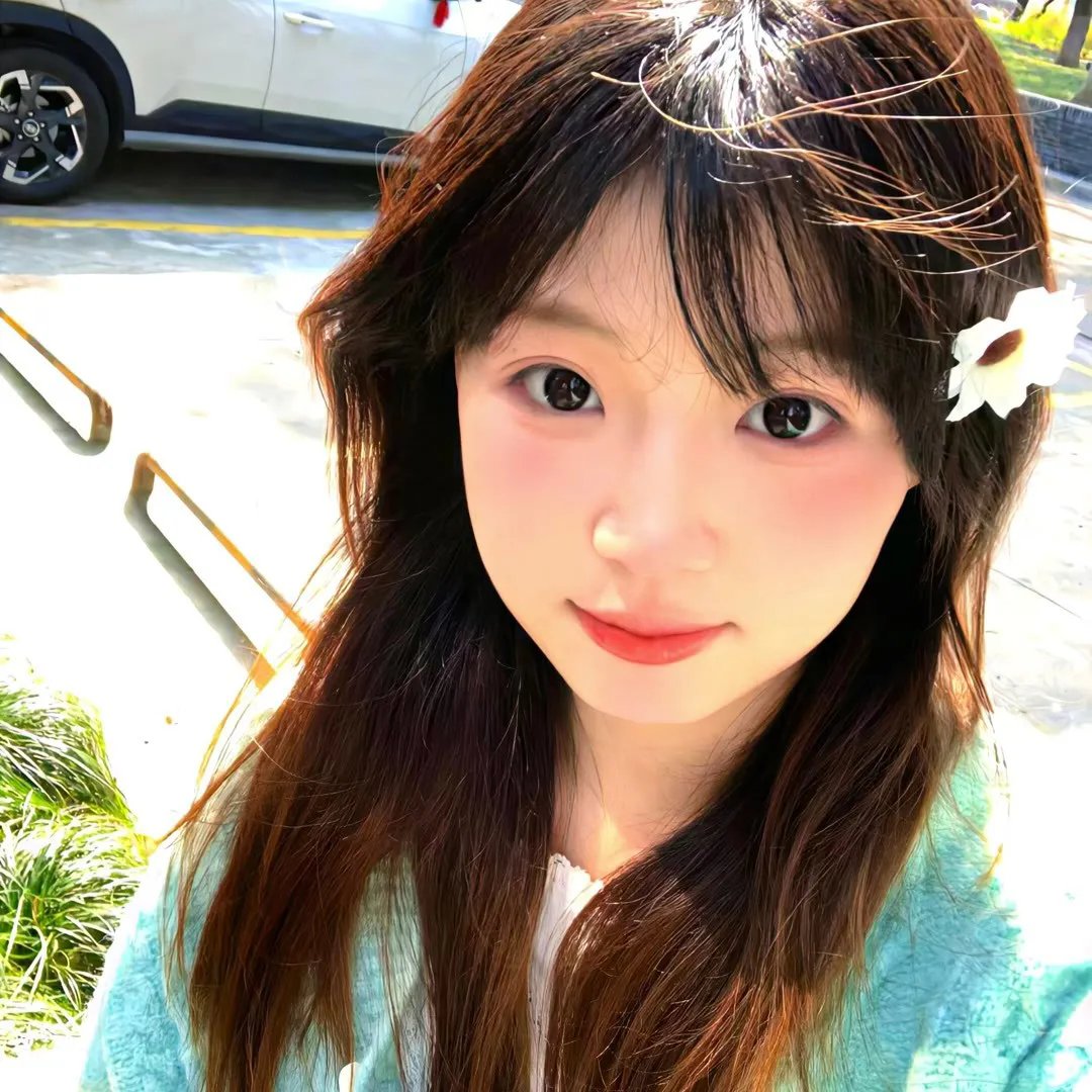 单身男女国语